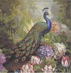 szalvéta  P16_133003011