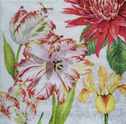 szalvéta  P51 133003336