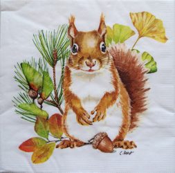 szalvéta 10B_133003422 szalvéta 10B_133003422