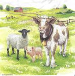 szalvéta  P38_L13319380