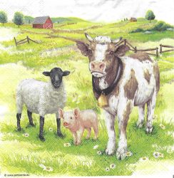 szalvéta  P38_L13319380