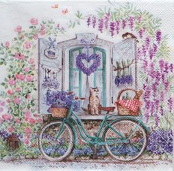 szalvéta  P42_13319410