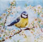 szalvéta  P70 13320355