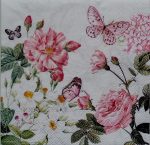 szalvéta  P62_13320375f