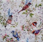 szalvéta  P70 13320390