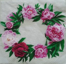 szalvéta  P9_209974