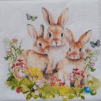 szalvéta  P99_23320760