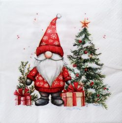 szalvéta  K3_303702