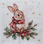 szalvéta  11A_303777