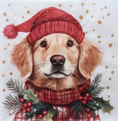 szalvéta  11A_310748