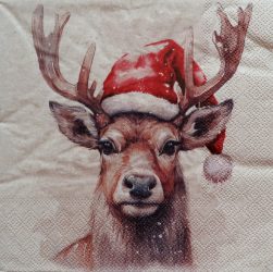 szalvéta  K4_33320281