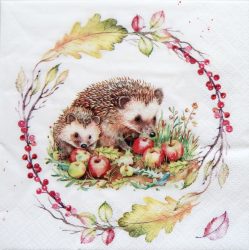 szalvéta  P16 342047