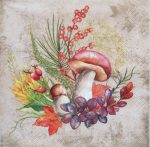 szalvéta  50D_342117