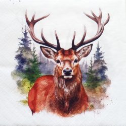 szalvéta  P16 343174