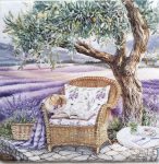 szalvéta  P13_344561