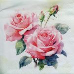 szalvéta  P09_367130