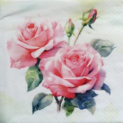 szalvéta  P09_367130