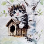 szalvéta  40A_371054