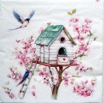 szalvéta  P13_380024