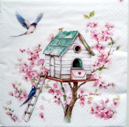 szalvéta  P13_380024