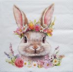 szalvéta  P13_384026