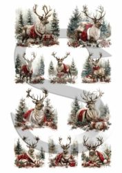 Karácsonyi képecskék 8