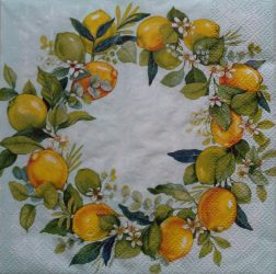 szalvéta  P47_L1035128