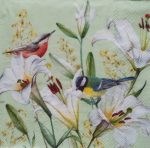 szalvéta  30C_1043629