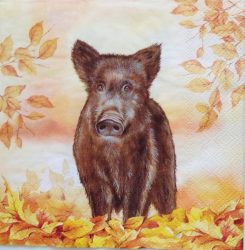 szalvéta  10C_L1085200