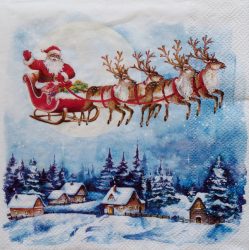 szalvéta  P77_L1087800