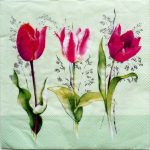 szalvéta  P13_L1092629