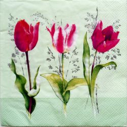 szalvéta  P13_L1092629