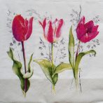 szalvéta  P13_L1092660