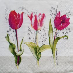 szalvéta  P13_L1092660