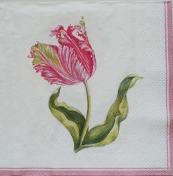 szalvéta  P13_L1097860