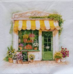 szalvéta  P34_L1101800