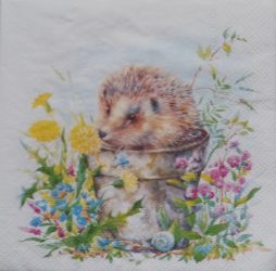 szalvéta  P70 L1103000