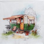 szalvéta F1_L1104900