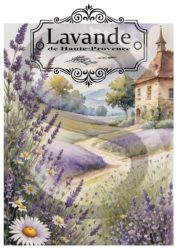 Provanszi udvarházak 3