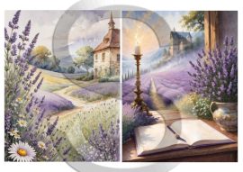 Provanszi udvarházak 5