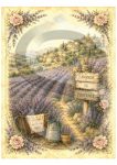 Provence vintage 8