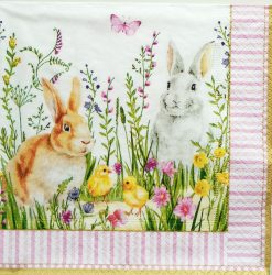 szalvéta  P55_R0414EAST