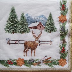 szalvéta K4 R0414WHIF