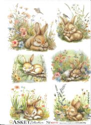 Rizspapír A4 RD 753