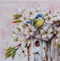 szalvéta  ck40_c1033850