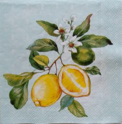 szalvéta ck37_c1035128