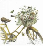 szalvéta ck51_c1068100