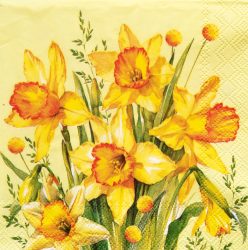 szalvéta  ck40_c1071070