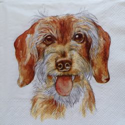 szalvéta ck37 c1080800