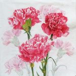 szalvéta  ck40_c1102160